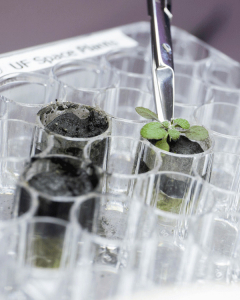 Can plants grow on the Moon?